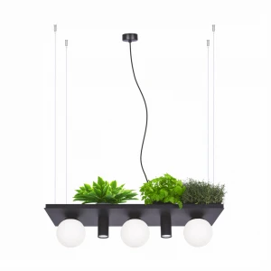 5555 PLANT SHELF lampa wisząca czarna/ black