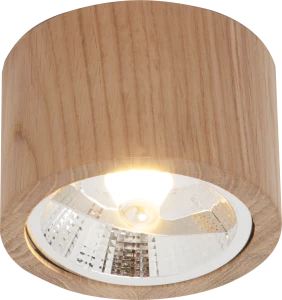 3010103 OAK SPOT