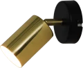 GU13013C-1R.png