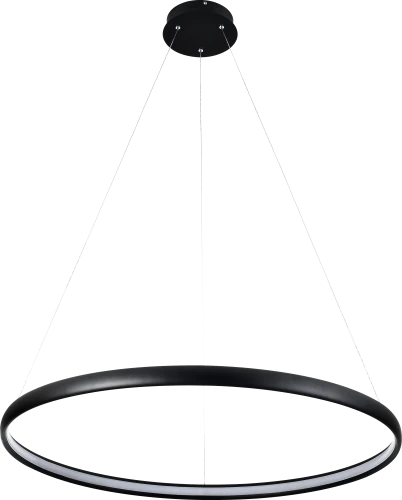 PL210503-800-BK.png