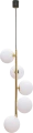 1_5648.png