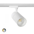 Reflektor LED Ściemnialny CCT do Wyboru New Mallet 30W do Szyn Jednofazowych
