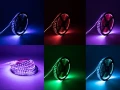d772534c7c2f6ac68b341541724f44f5