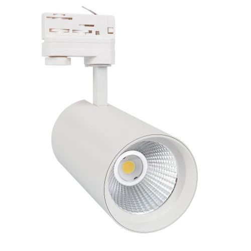 Reflektor LED New d'Angelo Biały 30W LIFUD do Szyn Trójfazowych