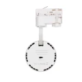 Reflektor LED New d'Angelo Biały 30W CCT LIFUD do Szyn Trójfazowych